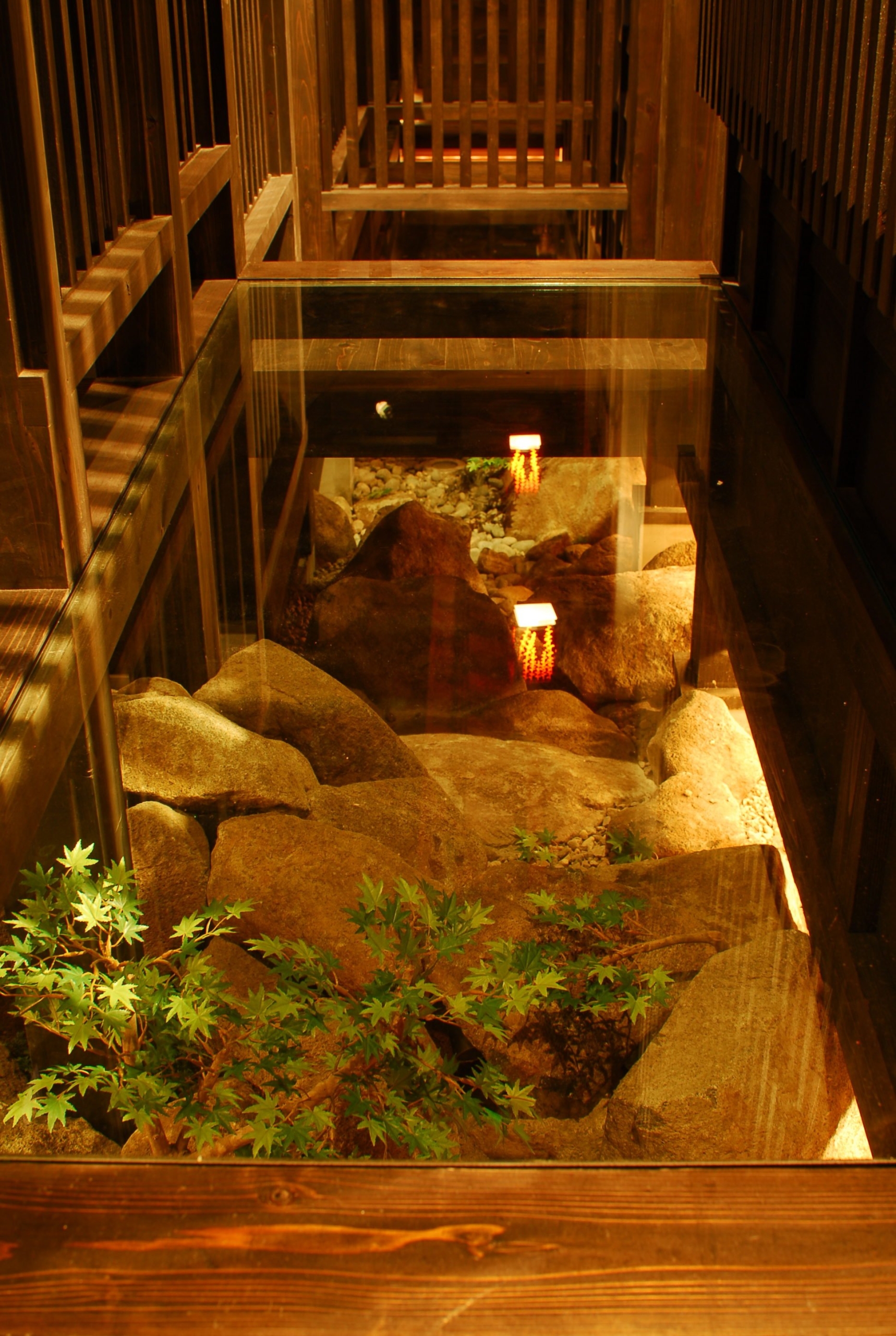 希家　錦