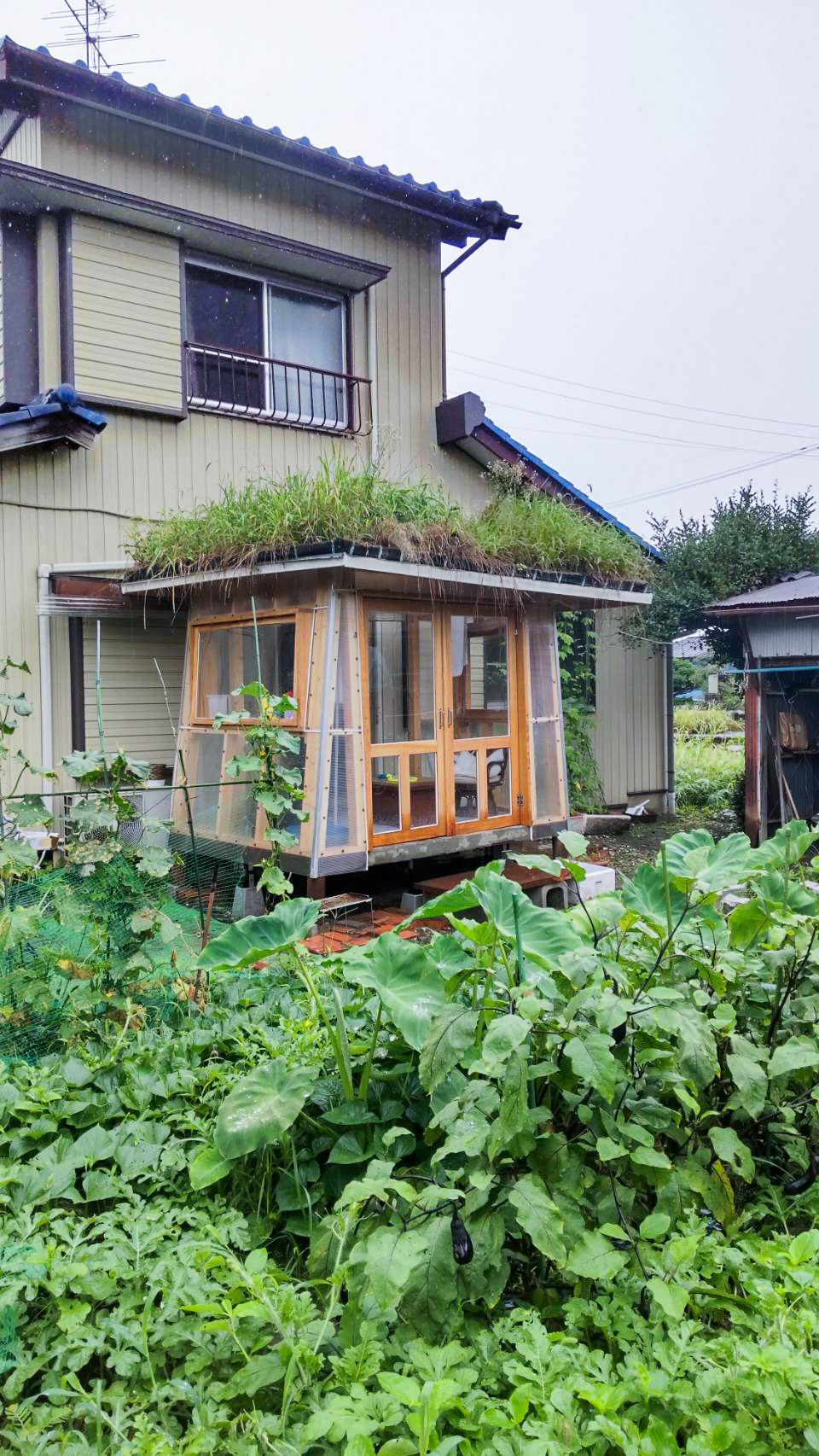 草屋根のサンルーム　梅雨編 | ブログ